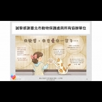 與毛孩子10年的約定，見證到台灣動物保護「零安樂死」的奇蹟