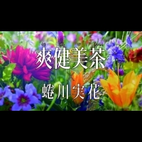 【影片】蜷川実花在台跨界合作 為日系茶飲「爽健美茶」出任導演掌鏡