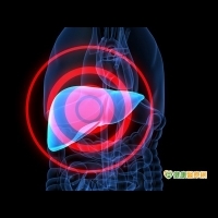 小心「脂肪肝」是肝硬化及肝癌的前奏