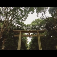 日本東京明治神宮::帶你體驗日本傳統七五三節慶