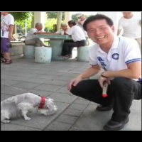 養狗沒絕育，小心被檢舉！台北市議員批決策「倒行逆施」