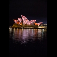 活力悉尼照亮整個城市