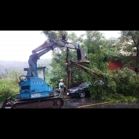 維護居民安全　集集公所趕於汛期前修剪危險路樹