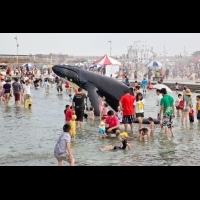 氣溫居高不下　東石漁人碼頭搶先開放鯨魚池提供消暑