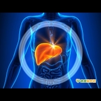 拖延治療C肝　增肝外疾病風險及罹癌死亡率