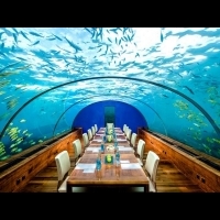 美到捨不得離開！每個都想去的7大海底飯店...在海平面16英尺底下的海底隧道餐廳也太神奇了！