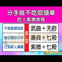 【命運好好玩】什麼紫微命格的人，分手了就不再吃回頭草？