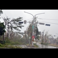 【颱風災情】尼伯特狂掃台東 強風破百年紀錄 南部多處停電