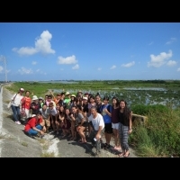 海外華裔青年戶外觀摩教學　體驗「學甲濕地生態園區」