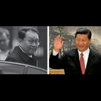 習近平威權妙喻 中國領導人「得勝翹尾獼猴王 」