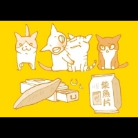  日本貓醫師跪求：別再餵貓吃這個了，此「魚」非彼「魚」！
