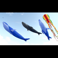 鯨魚、章魚飛上天　新竹風箏節邀全家一起當追風使者