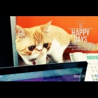 居然有防貓咪敲打鍵盤的軟體，貓奴們肯定愛不釋手...喵喵們別來亂啦der～