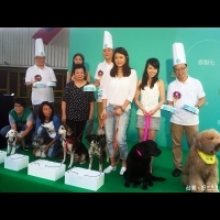 吃飼料前先做健診　台灣首創「客製化」犬糧問市