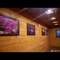 阿里山美景盡現　「美麗台灣」攝影展於高山植物園亮相