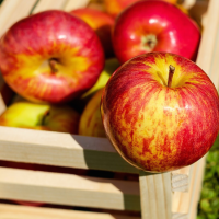吃蘋果好處多，6個小知識讓你更了解它