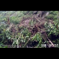 梅姬颱風重創自然步道　12處持續封閉搶修