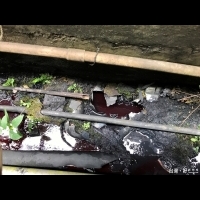 五股坑溪污染變色　不肖業者利用馬桶排出印刷廢水