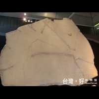 古生代生物巡禮　科博館土桑化石菁華特展隆重揭幕