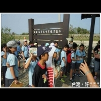 大安公所舉辦生態探索體驗　邀學童看鳥蟹、賞水蓑衣