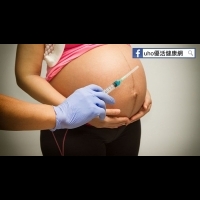 孕婦防疫，胎死腹中風險減半！