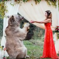 與「熊」共舞的婚禮  果然又是俄國人...