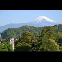 快拜訪櫻桃小丸子的故鄉，只有在這才能感受的日本獨有魅力！除了富士山與美食，靜岡還可以這樣玩...