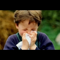 小朋友開始咳嗽、流鼻水 到底是感冒還是過敏？小兒科醫師教你如何區分
