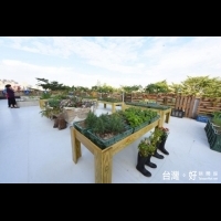 閒置空地改造菜園　桃園16里1年減碳4.5萬公斤　　