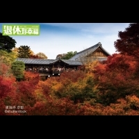兩條京都私房路線報給你！每年都要「這個」時候來京都一趟啊～尤其晚上！超美...