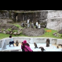 讓民眾更好「拍」　台北動物園設置動物雕塑