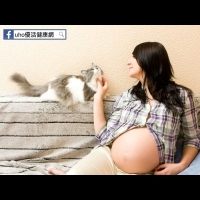 孕婦養貓要注意！小心胎兒感染！7點建議一定要知道...尤其是最後一點可能被疏忽！