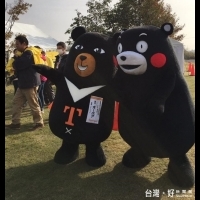 只識熊本熊　官員竟不識台灣喔熊