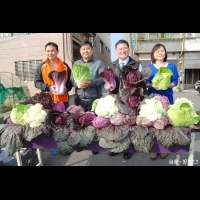 「紫色白菜」吸引民眾搶購　每顆市價高達100元