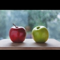 一人在監獄，一人在白宮！兩位母親分蘋果，竟然造就了兩個孩子天壤之別的人生！