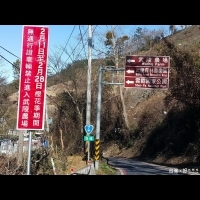 武陵農場櫻花季周末登場　四大交通措施紓解車潮