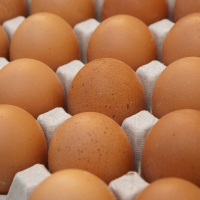 關於雞蛋的5個迷思  有些攸關你的健康