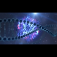未來的DNA硬碟
