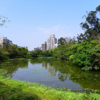 大安森林公園大嗎？比較各國的都市之肺