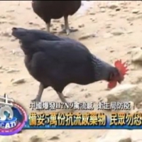 中國爆發H7N9禽流感 衛生局防疫！ 備妥5萬份抗流感藥物 民眾勿恐慌