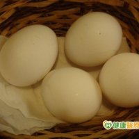 全面防禦禽流感　中市火鍋業將暫停供生蛋