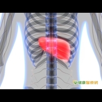 脂肪肝！吃出來的富貴病　當心惡化成肝癌