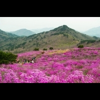 美到韓劇《獄中花》也來這取景！5個你必來的大邱景點～「這個市場」號稱韓國的三大傳統市場之一！