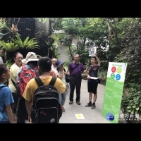 遠離喧囂　台北植物園體驗生態多樣性
