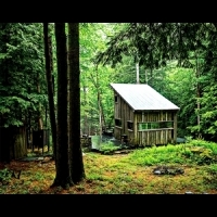 靠自己雙手打造的秘境小屋！在森林中打造一處隱蔽之所一點也不難～