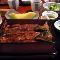 今天是日本鰻魚節，為什麼日本人要在土用丑日吃鰻魚？
