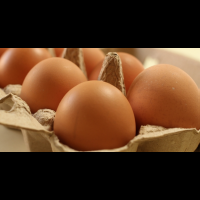 一天只吃「一顆蛋」？小心「膽鹼」不足傷大腦！醫學博士揭開「吃蛋」真相，別再被「膽固醇」騙了！