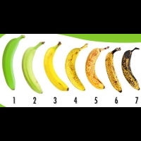 香蕉甚麼顏色最好吃？原來以前都搞錯！一秒看懂「最佳賞味期」，這兩種人不能亂吃｜每日健康Health