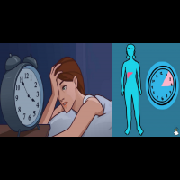 總是在半夜驚醒？從「3個醒來時間」一秒看出器官健康！重新入睡只要簡單「4步驟」｜每日健康Health