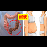 小腹凸都是「宿便」惹的禍！「八種暢通腸道飲食法」：一次清空腸道廢物，打通大腸預防直腸癌！